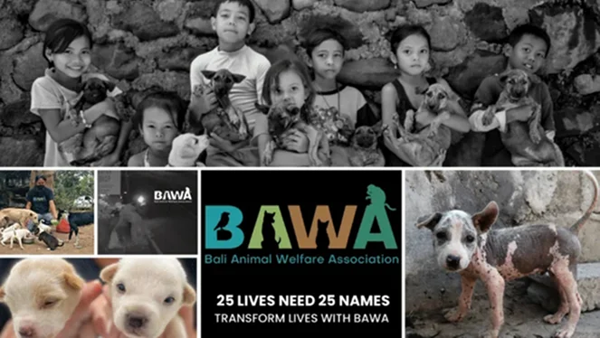 Bali Animal Welfare Association (BAWA)